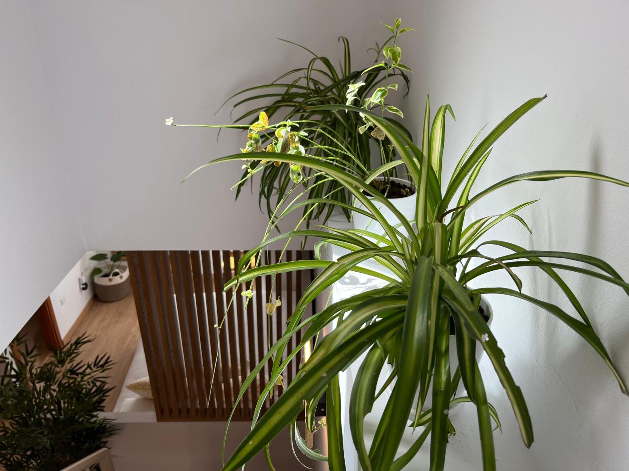 Appartement Duplex Con Terraza Privada Y Parking A 15 Minutos De Sevilla Dos Hermanas